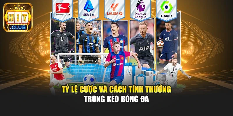 Tỷ lệ cược và cách tính thưởng trong kèo bóng đá